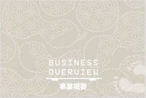 businessoverview