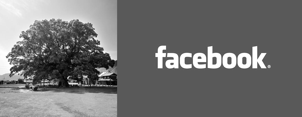 みかも木履 公式Facebook